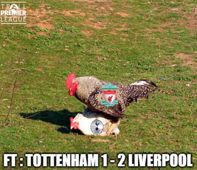 祝贺，加克波被任命为宾利汽车英国及欧洲区品牌大使（加克波出任宾利汽车英国与欧洲区品牌大使）